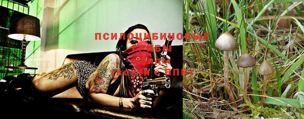 ГАЛЛЮЦИНОГЕННЫЕ ГРИБЫ Коряжма