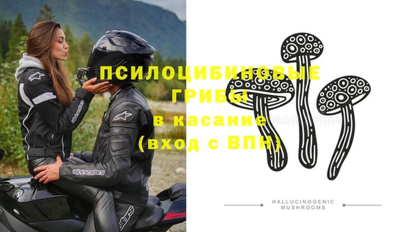 соль ск Козловка