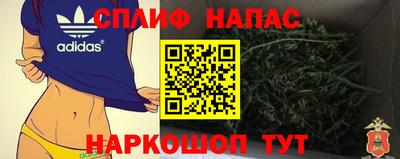 ALPHA PVP Камышлов