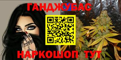 ALPHA PVP Камышлов