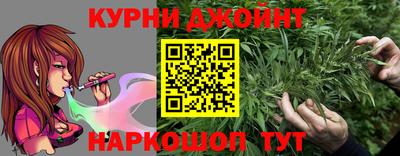 ALPHA PVP Камышлов
