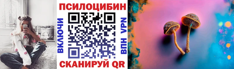 MEGA как зайти  Назрань  Псилоцибиновые грибы Cubensis 