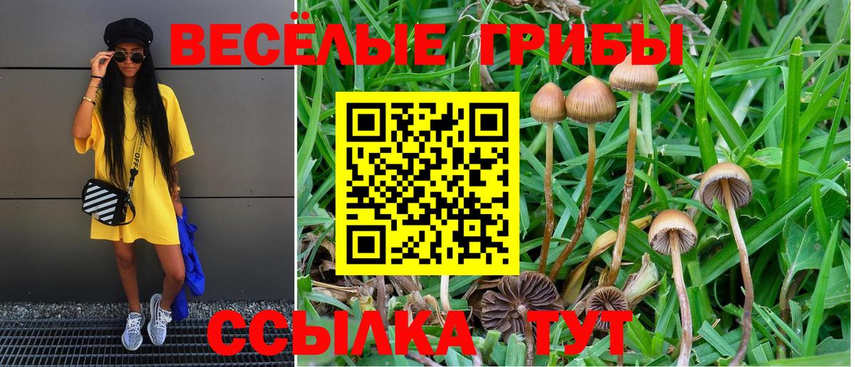 Псилоцибиновые грибы мицелий Назрань