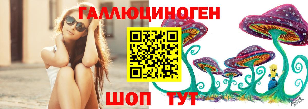 наркотики  Вход с VPN  Назрань  Галлюциногенные грибы мицелий  Псилоцибиновые грибы Psilocybe 