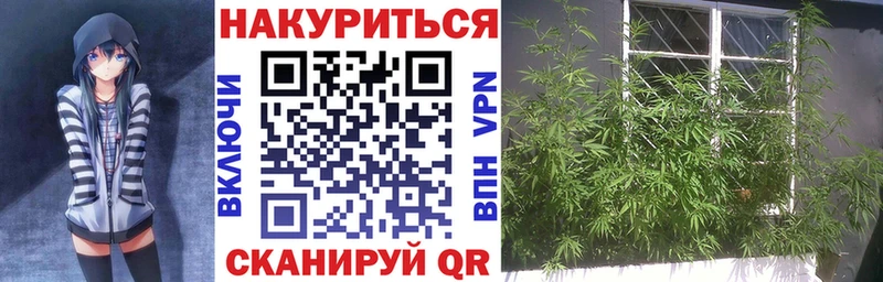 продажа наркотиков  Назрань  Канабис тримм 